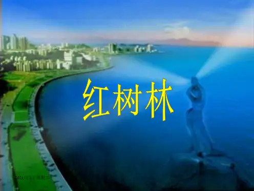 (北师大版)五年级语文课件_红树林