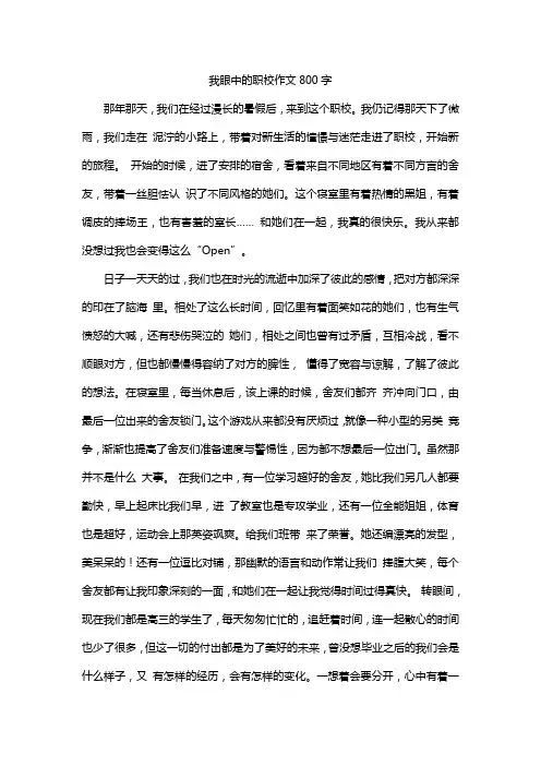 我眼中的职校作文800字