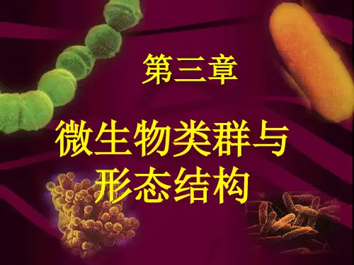 第三章 微生物类群与形态结构(14级期末总结)