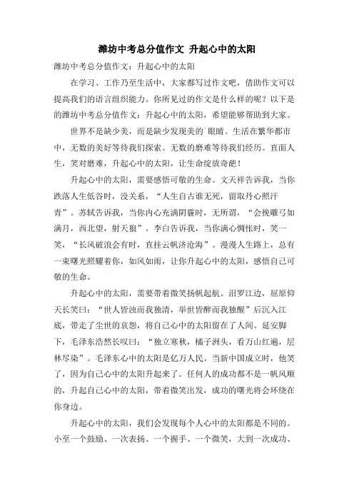 潍坊中考满分作文 升起心中的太阳