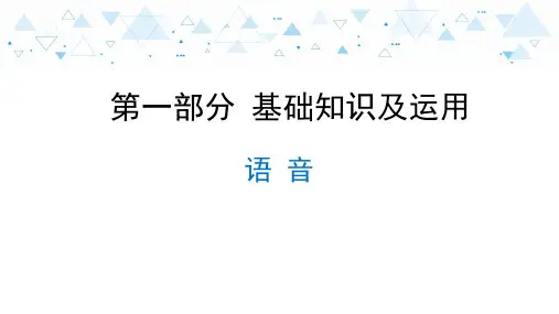 中考语文复习第一部分 基础知识及运用-语音