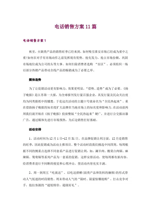 电话销售方案11篇