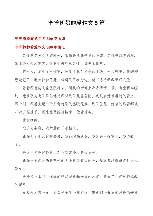 爷爷奶奶的爱作文5篇