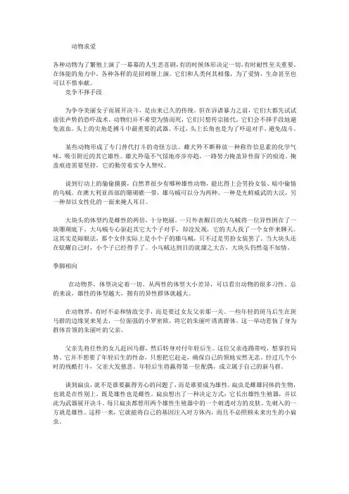 动物求爱