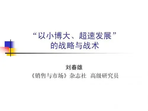 “以小博大、超速发展”的战略战术