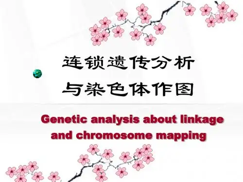 遗传学-连锁遗传分析与染色体作图