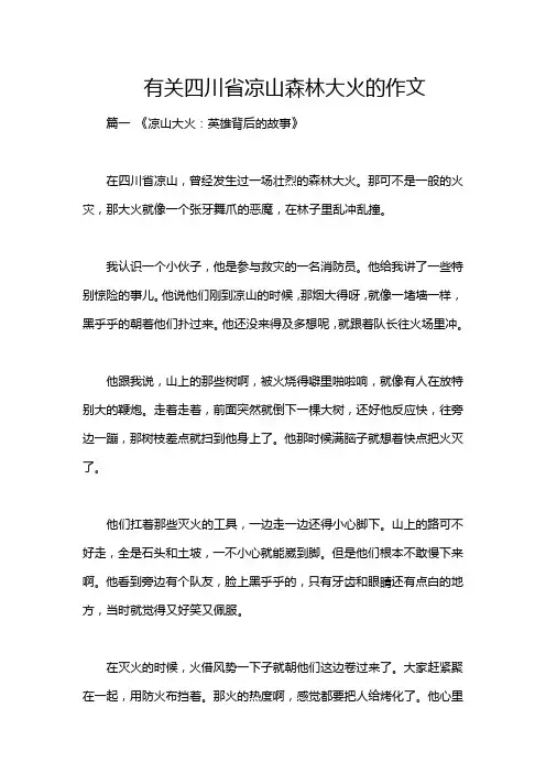 有关四川省凉山森林大火的作文