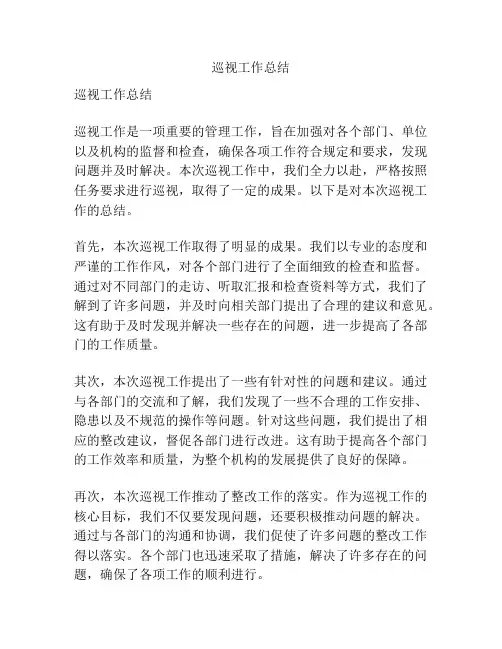 巡视工作总结