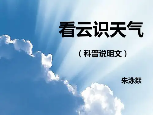 看云识天气PPT课件