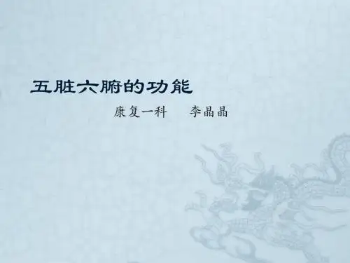 五脏六腑的功能