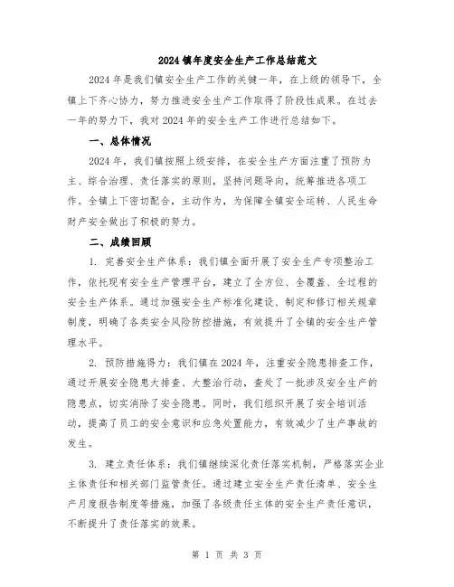 2024镇年度安全生产工作总结范文