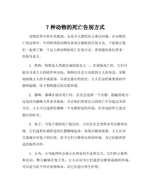 7种动物的死亡告别方式