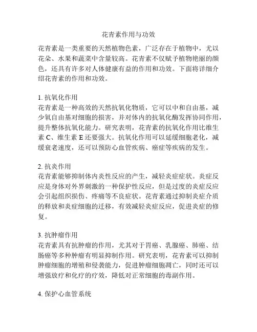 花青素作用与功效
