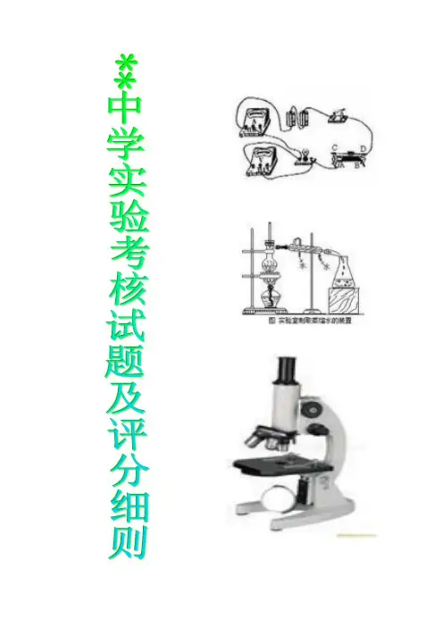 实验操作考试物理试题评分细则