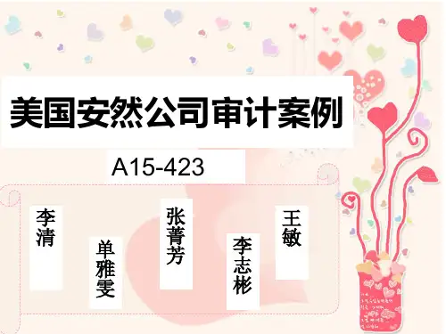 审计案例-文档资料