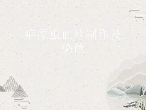 疟原虫血片制作及染色