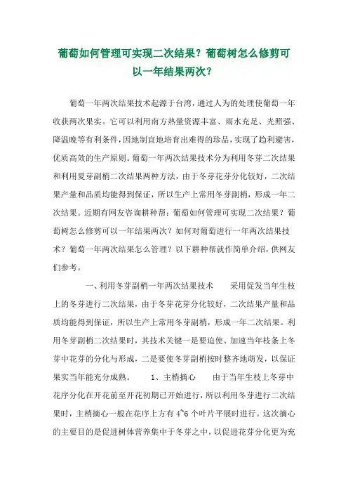 葡萄如何管理可实现二次结果？葡萄树怎么修剪可以一年结果两次？ 