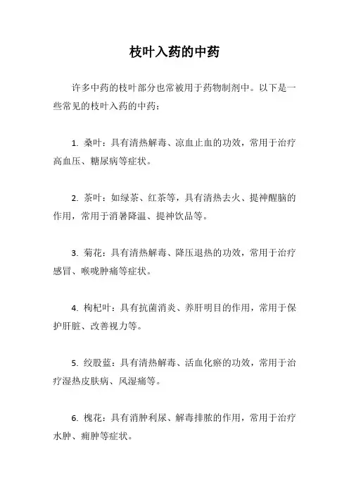 枝叶入药的中药