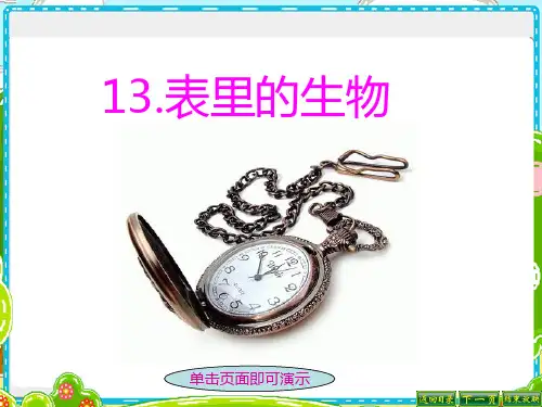 《表里的生物》PPT