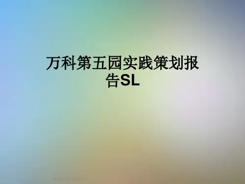 万科第五园实践策划报告SL