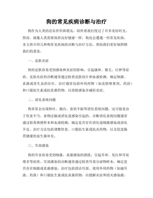 狗的常见疾病诊断与治疗