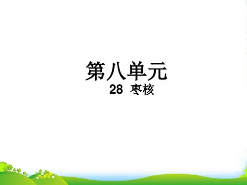 人教部编版三年级下册语文课件-28 枣核 (共10张PPT)