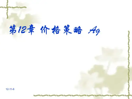 第12章 价格策略PPT课件