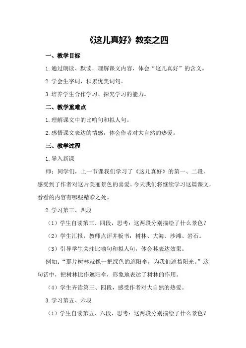 《这儿真好》教案之四