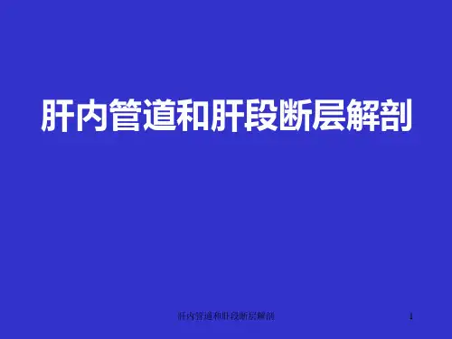 肝内管道和肝段断层解剖课件