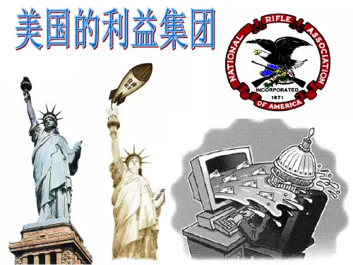 3.4.美国的利益集团