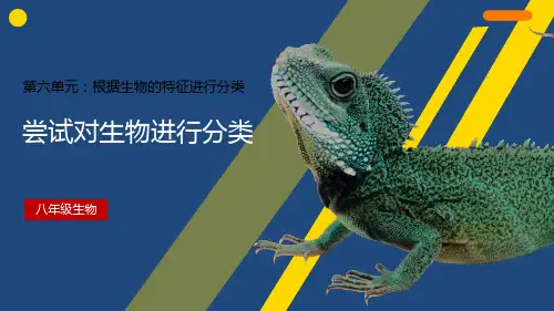 人教版八年级生物上册《尝试对生物进行分类》课件