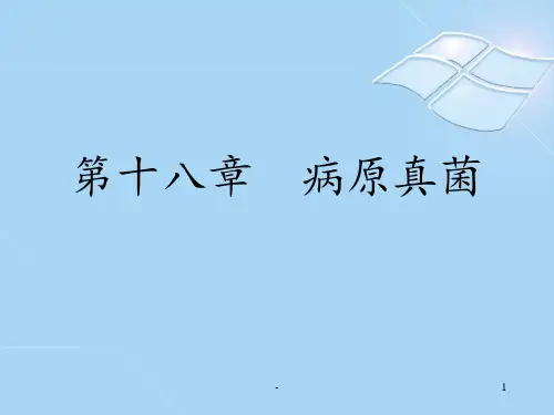 十八病原真菌PPT课件