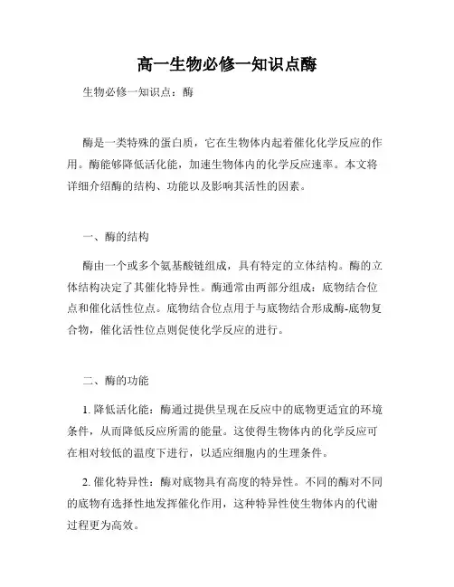 高一生物必修一知识点酶