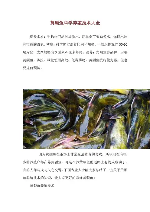 黄颡鱼科学养殖技术大全