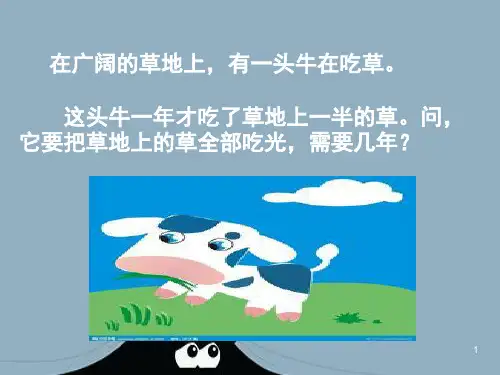幼儿思维的发展ppt课件