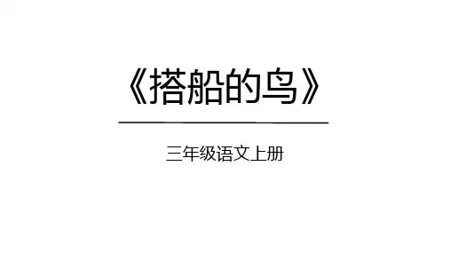 15.《搭船的鸟》课件(共47张PPT)