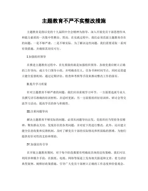 主题教育不严不实整改措施