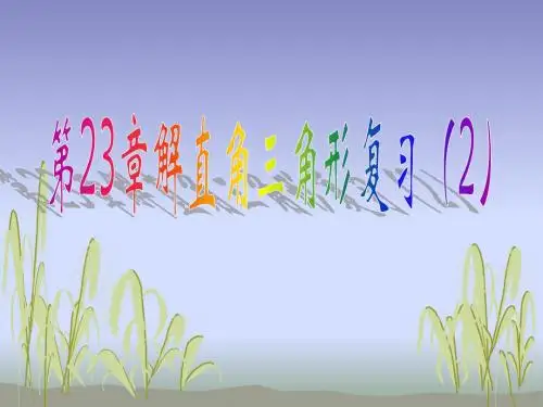 第23章 解直角三角形复习(2)
