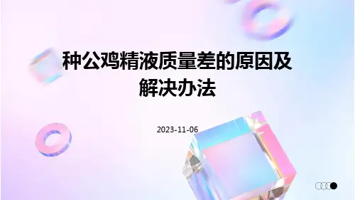 种公鸡精液质量差的原因及解决办法