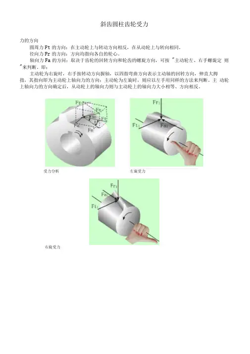斜齿圆柱齿轮、蜗杆涡轮、轴承受力分析