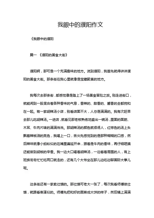 我眼中的濮阳作文