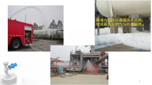 LNG泄露堵漏处置措施