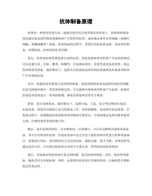 抗体制备原理