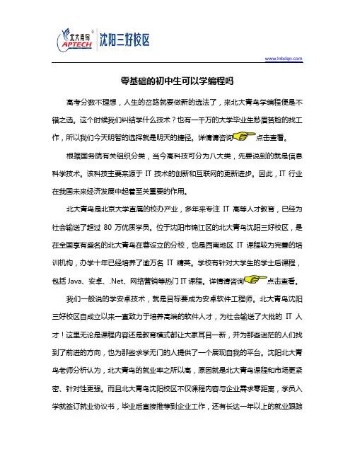 零基础的初中生可以学编程吗