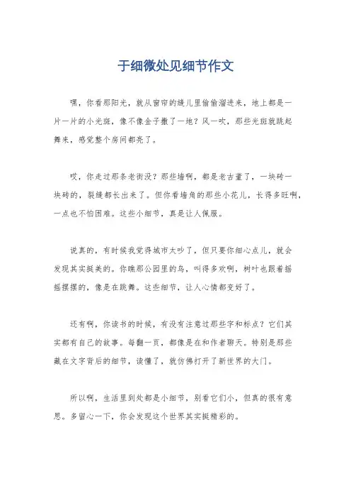 于细微处见细节作文