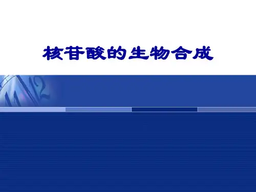 核苷酸的生物合成