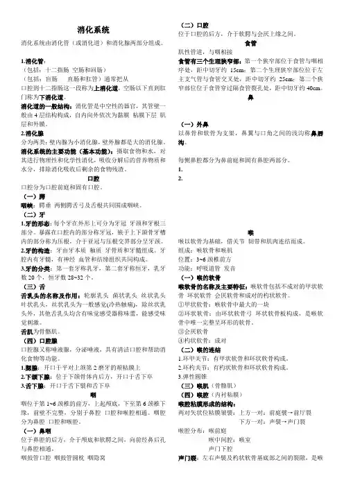 人体解剖学重点笔记