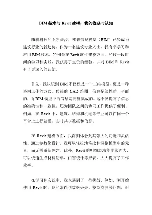 对bim技术、revit建模认知、能力提升等方面的收获总结