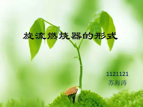 旋流燃烧器的形式  1121121