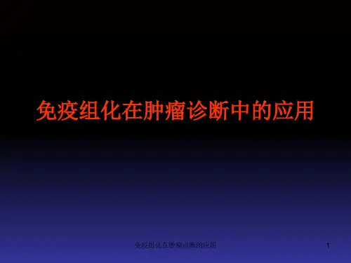 免疫组化在肿瘤诊断的应用ppt课件
